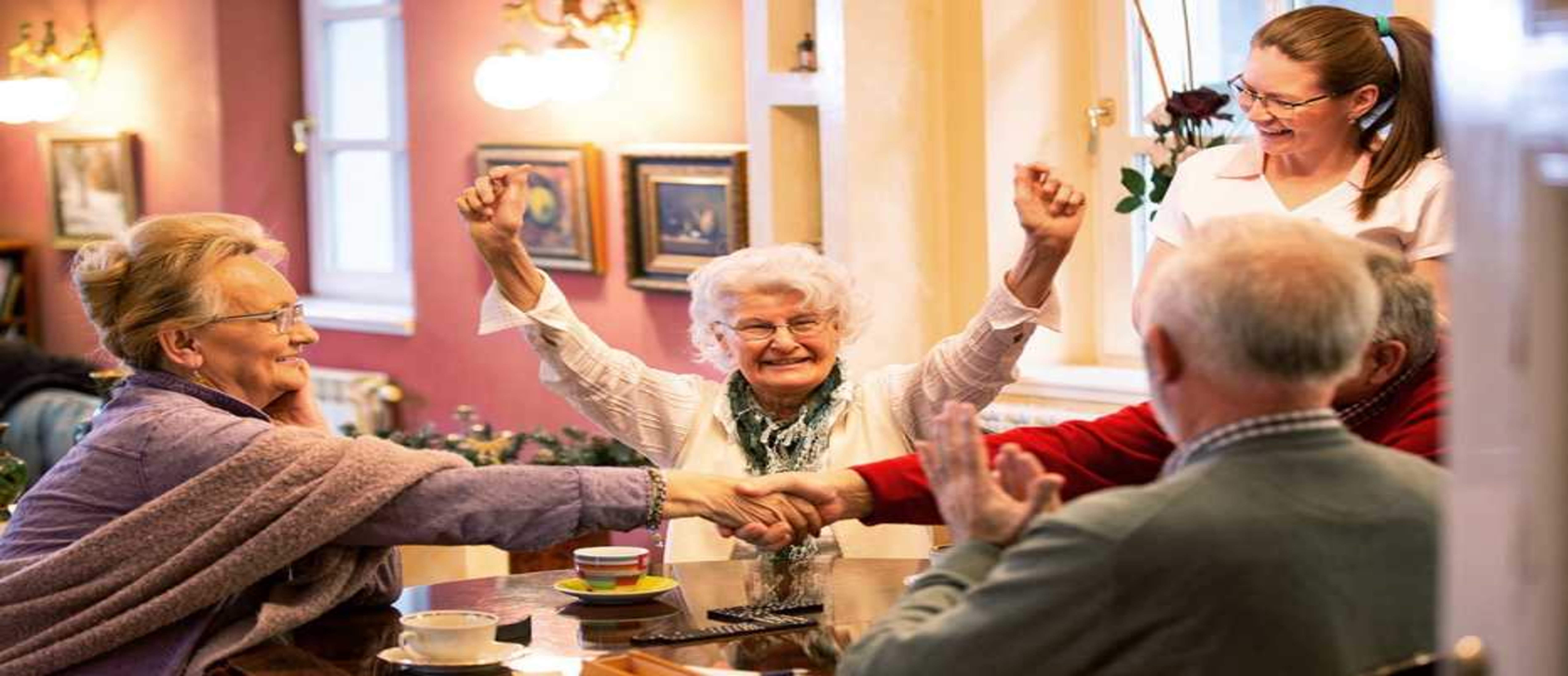 Support for the Elderly at Old Age Homes