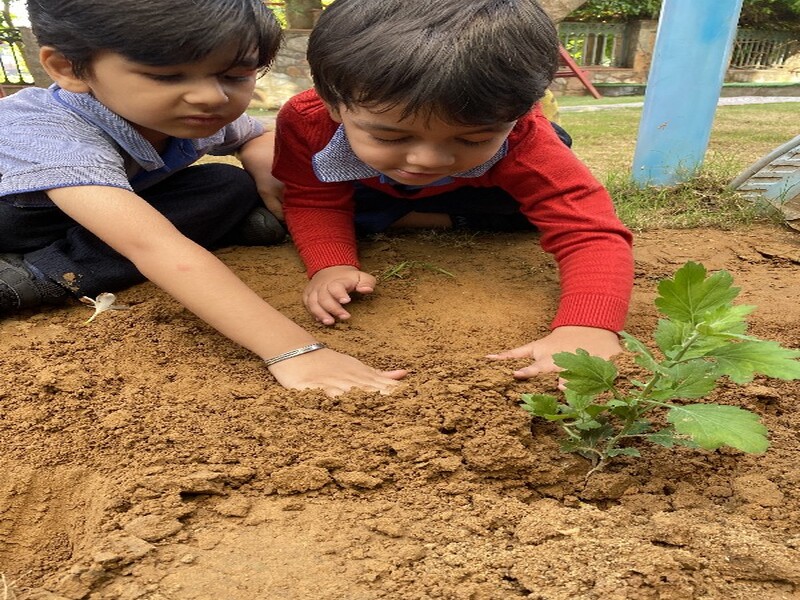 Environment Protection: Tree Plantation Drive