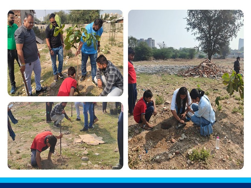Environment Protection: Tree Plantation Drive
